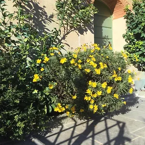 Ferienhaus Casa Mita Con Pacchetto Mare Incluso, Camaiore